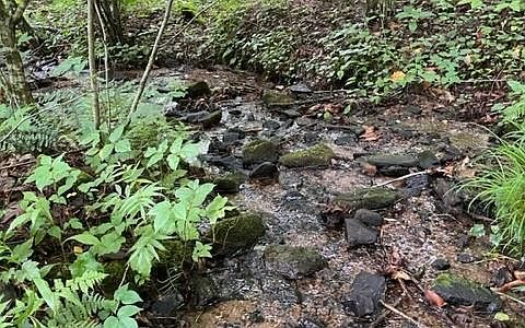 2nd image of 0 Trackrock Gap Rd