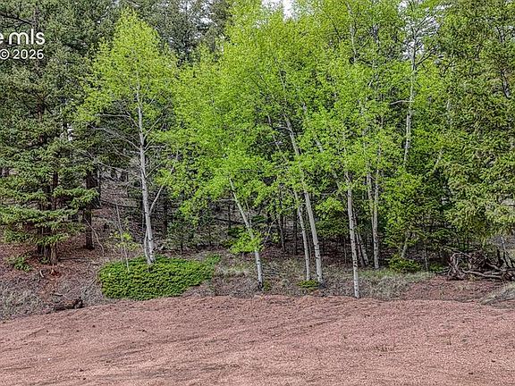3rd image of 918 Pinon Ln