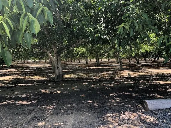 32000 Russell Blvd, Winters, CA 95694