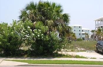 2nd image of 208 Via De Luna Dr