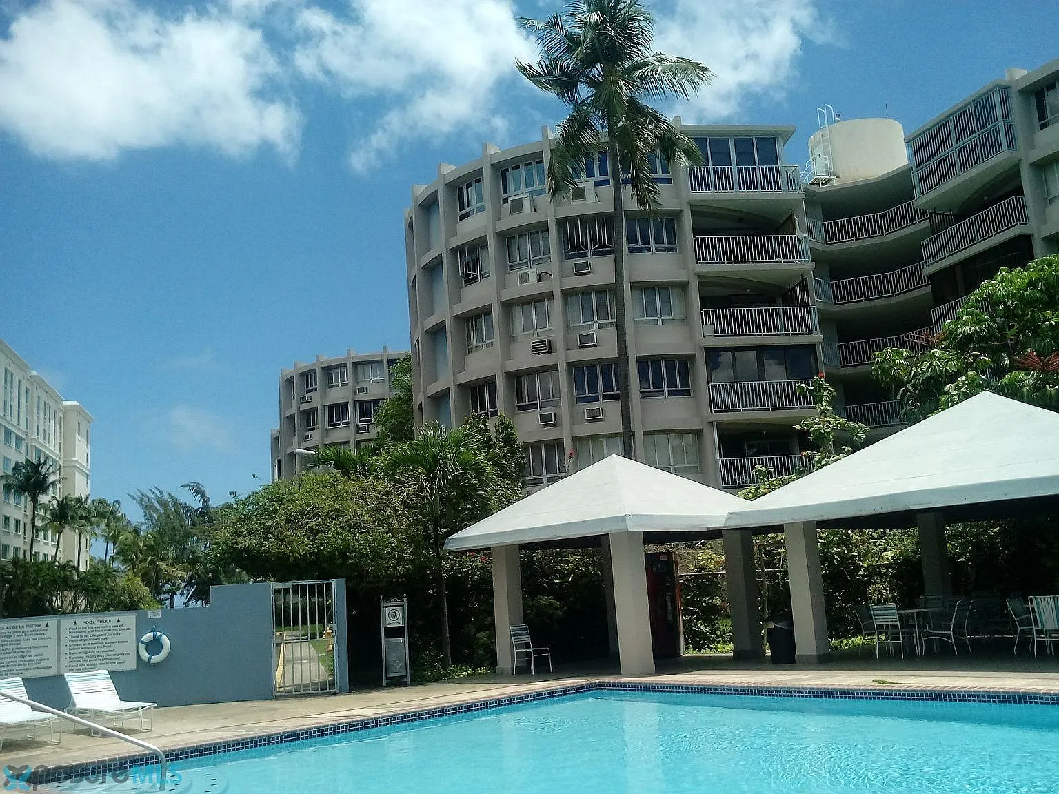 Pine Grove (Condominio) — Photo 4