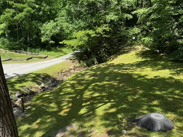 2951 E Fork Rd — Photo 4