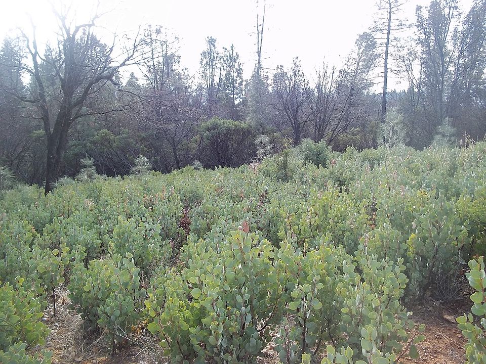 1st image of Seaman Gulch Apn #97-120-013
