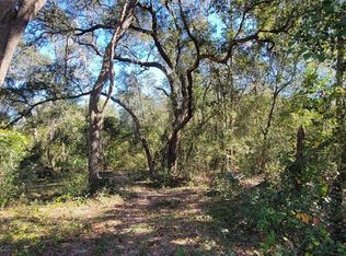 Sydney Washer Rd LOT 4, Dover, FL 33527