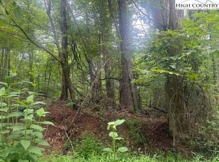 Tbd Beaver Creek Dr, West Jefferson, NC 28694
