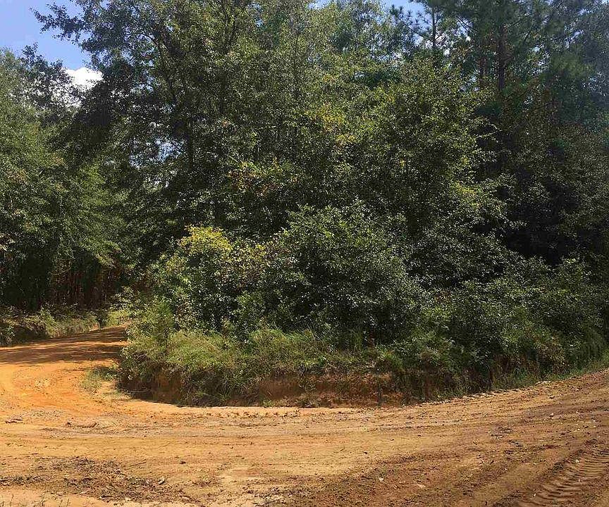 2nd image of 0 Brack Rd #3