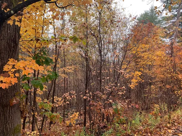 15-047-5 Couchtown Road, Warner, NH 03278