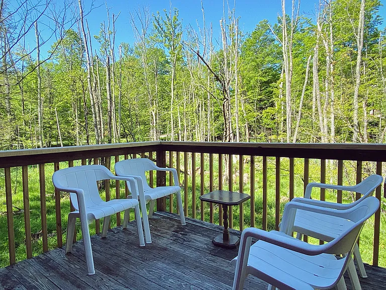 Back deck overlooking the trees and yard