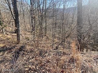 3rd image of LOT 875 Clear Water Rd