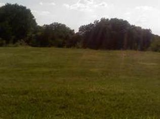 131 Sequoia Ct, Midlothian, TX 76065