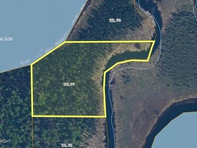 Township Road 77, Willow, AK, 99688