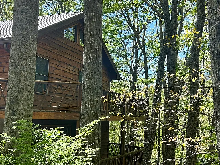 240 Rose Ln — Photo 11