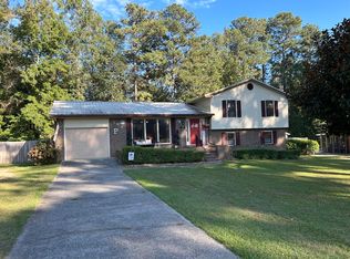 189 Hinton Dr, Dearing, GA 30808