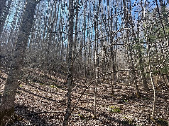 2nd image of TBD Hart Road