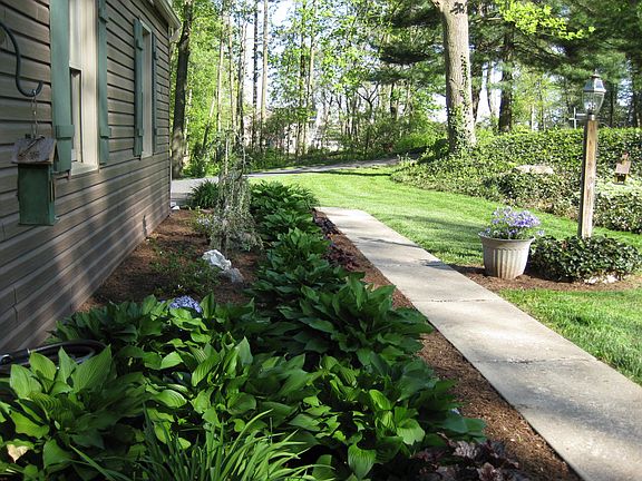 New natural landscaping