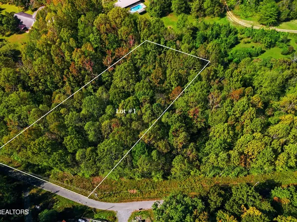 1 Timber Lake Drive, Cosby, TN 37722