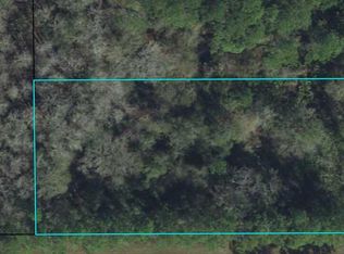 2666 Spruce St, Bunnell, FL 32110