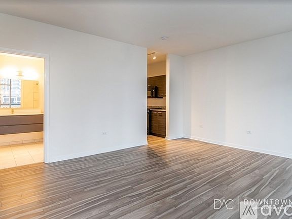 4th image of 750 N La Salle Dr #808