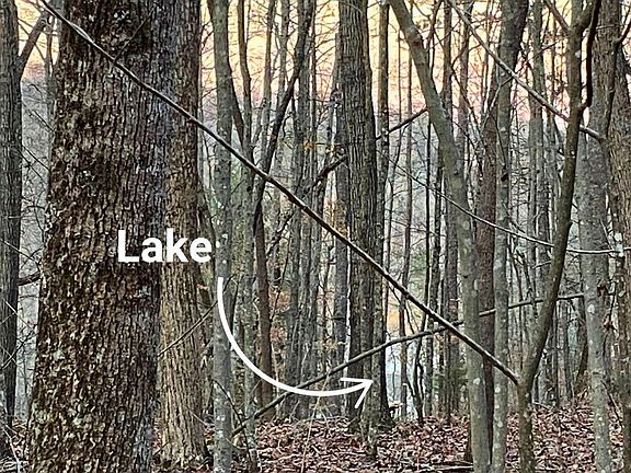 3rd image of Hiwassee View Dr