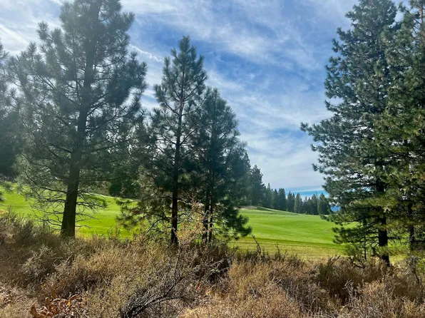 1121 Great Spirit, Portola, CA 96122
