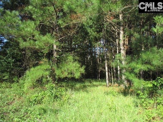 2nd image of 1132 Rabbit Run