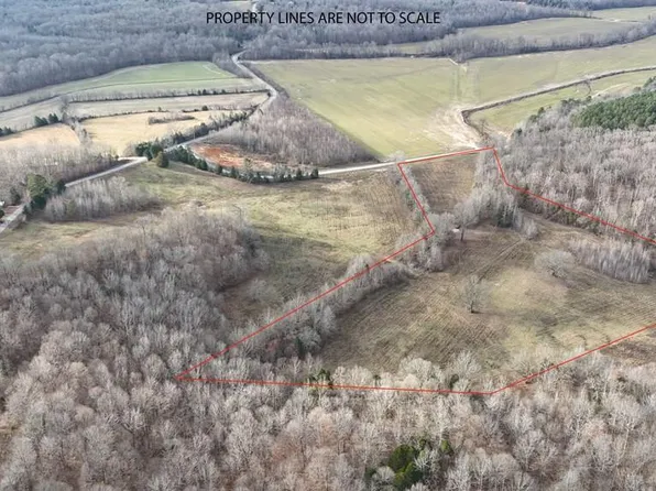 0 Gin Branch Rd, Cedar Grove, TN 38321