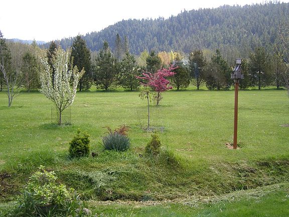 Yard view to South east