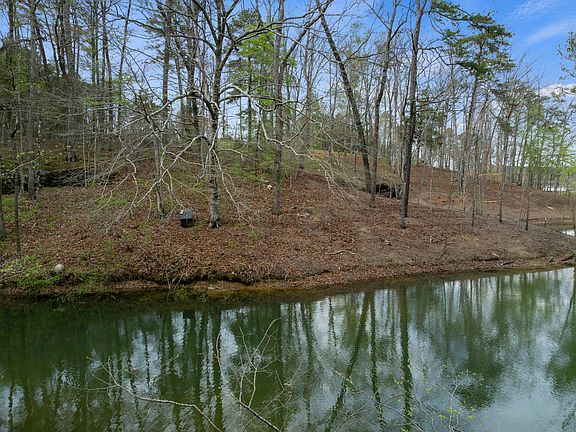 3rd image of Long Leaf Rd
