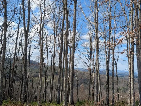 91 Winding Rdg, Blairsville, GA 30512