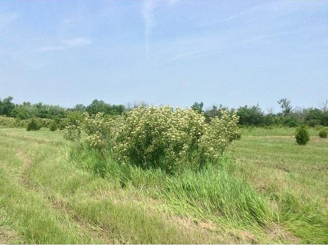2nd image of 4091 Riley Rd