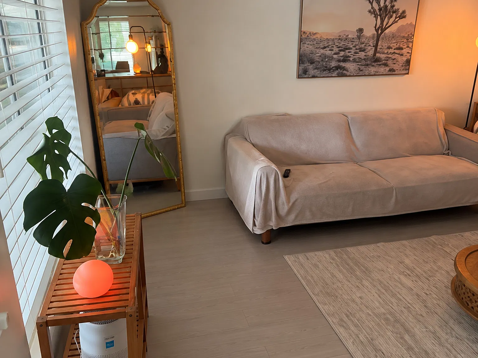1 bed, 850 sqft, $1,600 — Photo 4