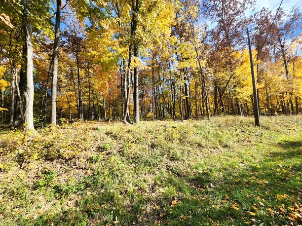 Lots 1362_63_64 Lake Wildwood Dr, Varna, IL 61375