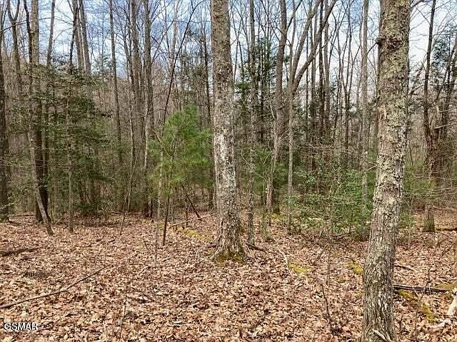 1st image of 0 Dockery Branch Rd