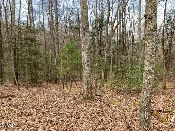 0 Dockery Branch Rd, Sevierville, TN 37876
