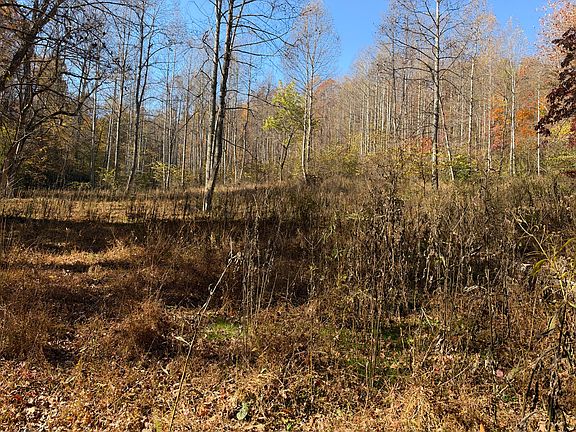 5th image of 709 Davis Knob Rd