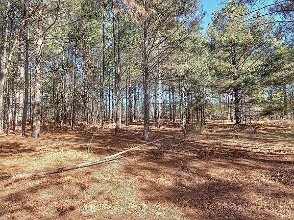 3rd image of 135 Long Leaf Ln