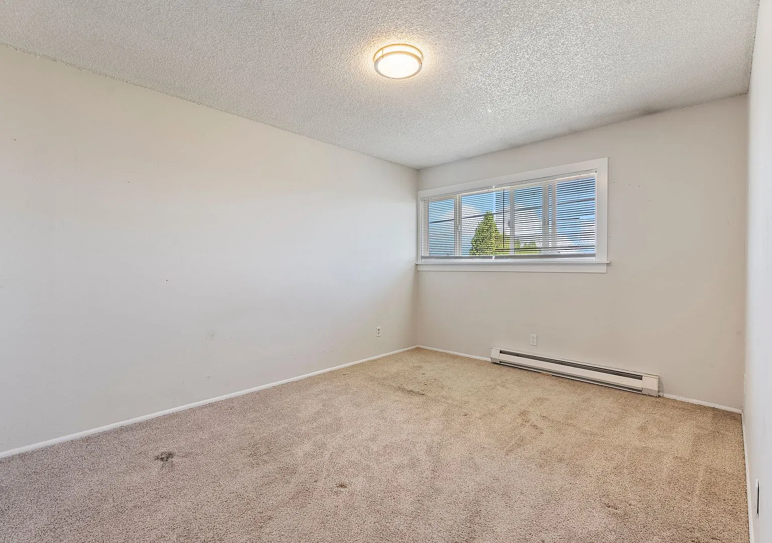 Sandy Terrace Apartments — Photo 4