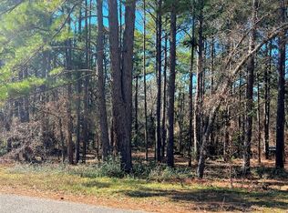 20750 Lakeview Dr, Flint, TX 75762