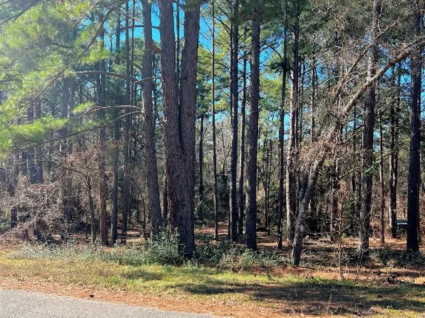 20750 Lakeview Dr, Flint, TX 75762