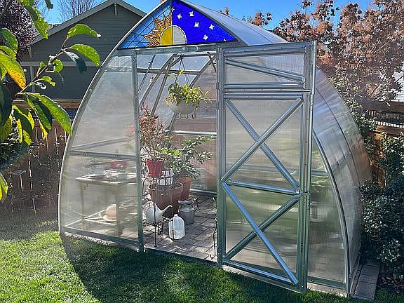 Backyard greenhouse
