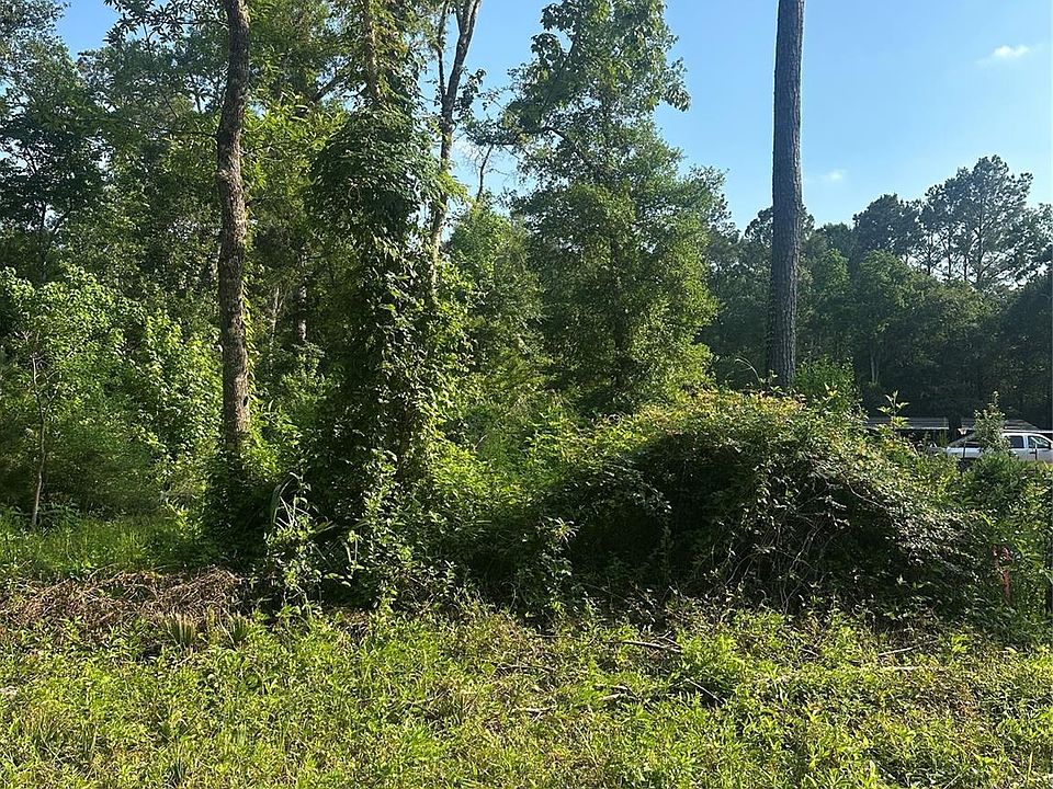 1st image of Little Ln Lot 264