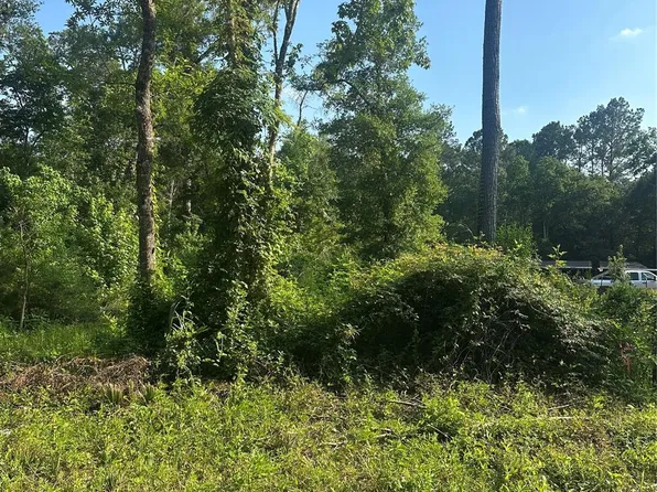 Little Ln Lot 264, Shepherd, TX 77371