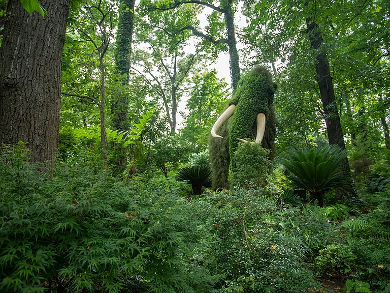 The Atlanta Botanical Garden is full of wonders