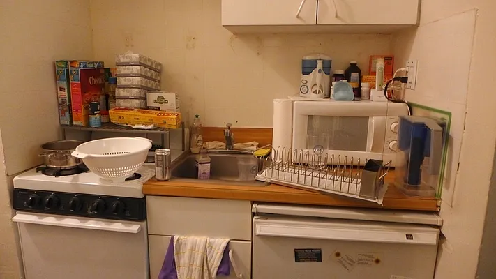 Rented by New York Quality Living Downtown | media 34