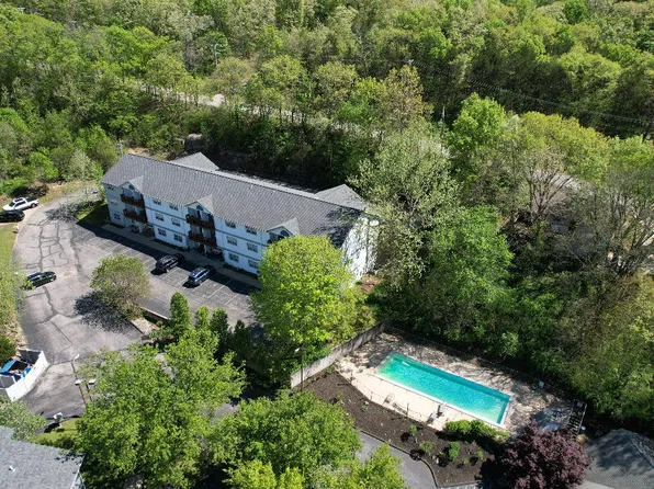 250 Berry Drive #B1, Branson, MO 65616