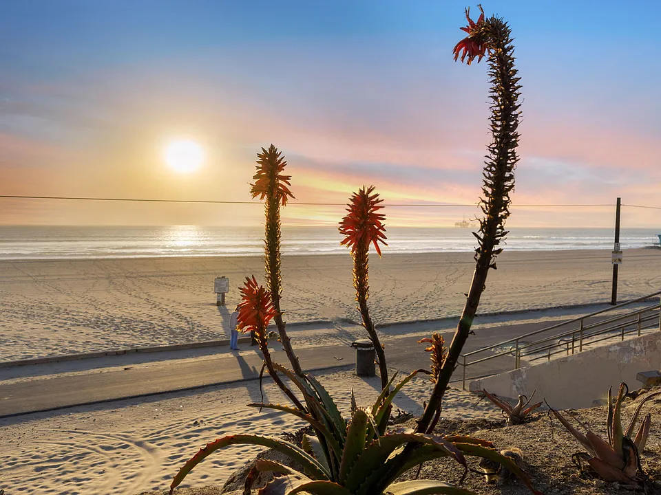 Ocean Breeze Terrace