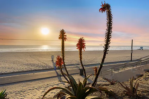 Ocean Breeze Terrace Photo 1