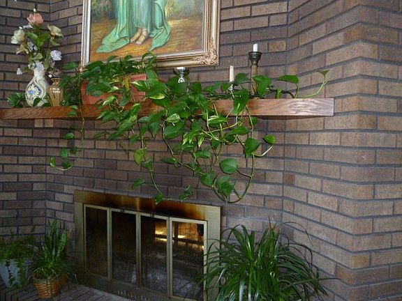 Entry Double sided fireplace