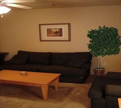 Living Room with Fan