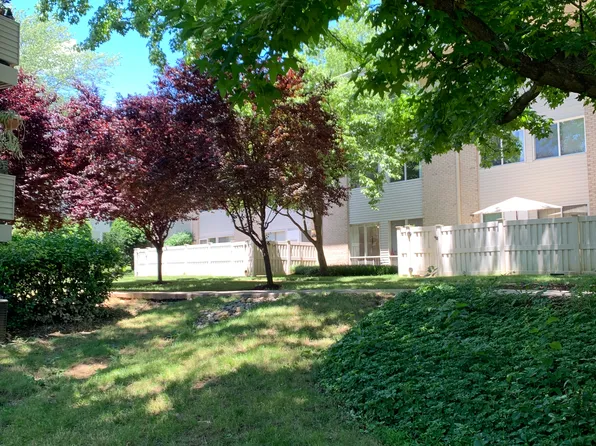 134 Birch St, Falls Church, VA 22046
